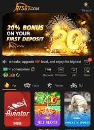W567 Game