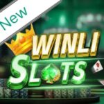 Winli Slots Game