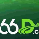 666d game